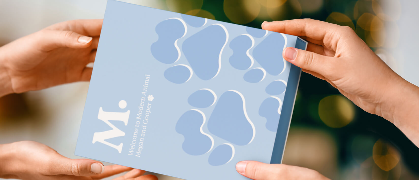 YETI Road Dog Set Accessory