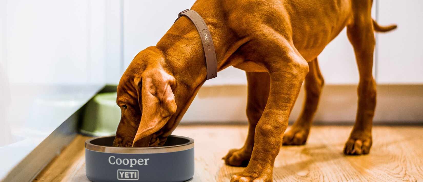 YETI Road Dog Set Accessory