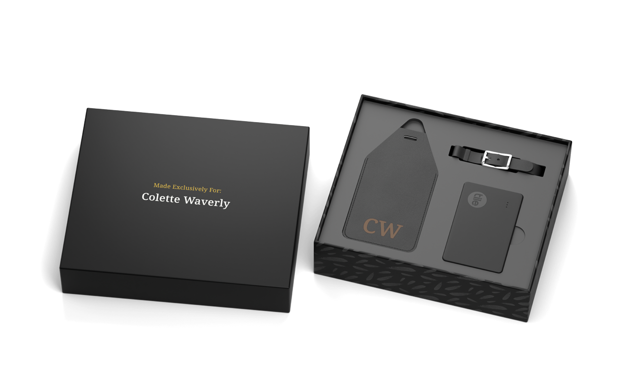 Tile Luggage Tag Set